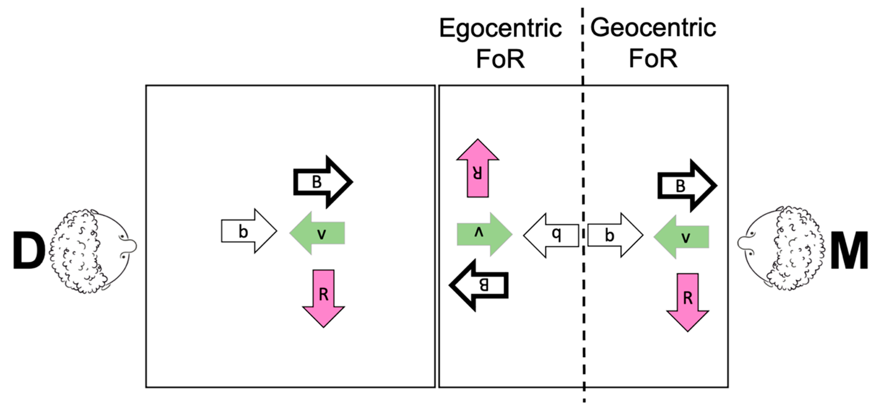 Languages 09 00278 g011