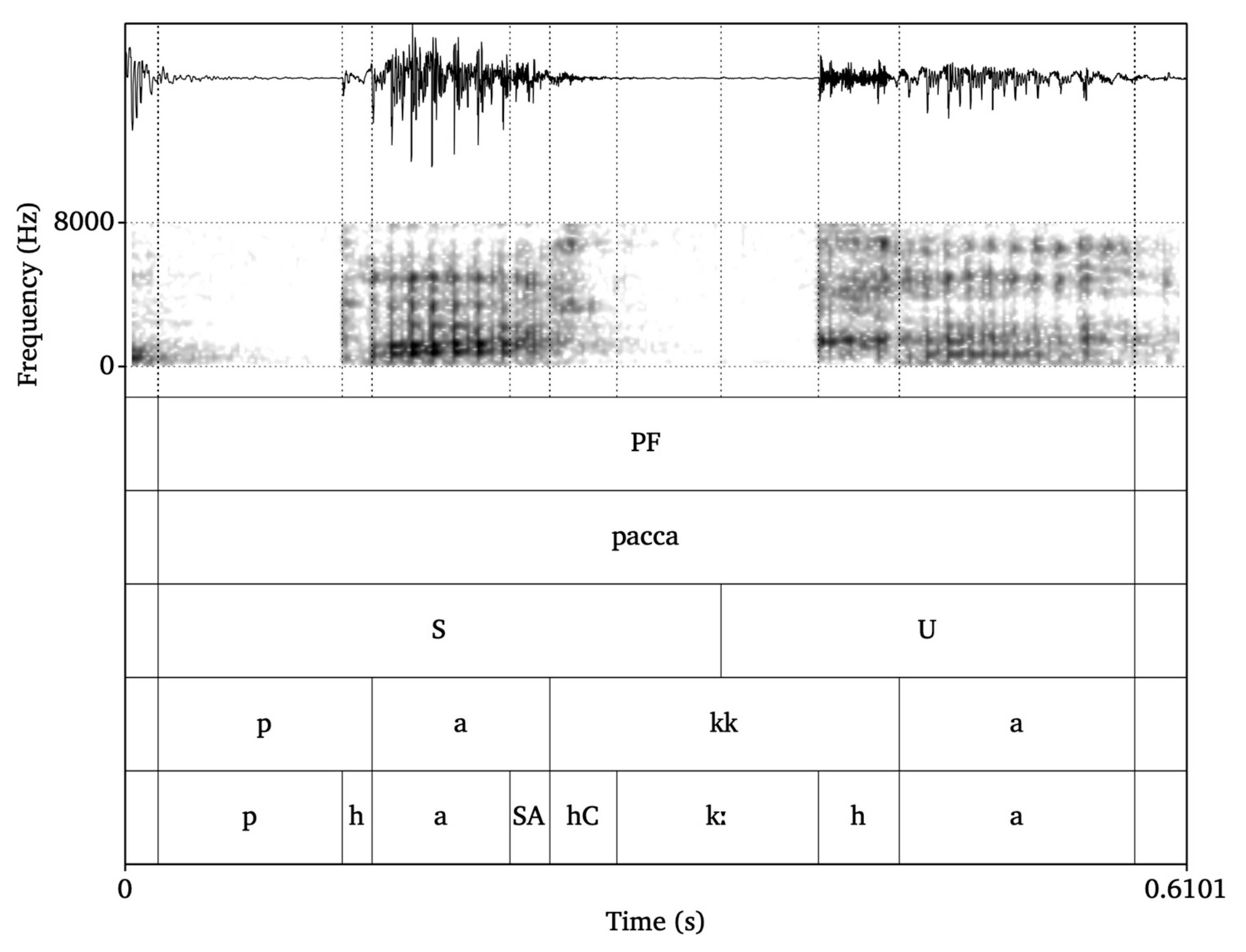 Languages 09 00383 g002