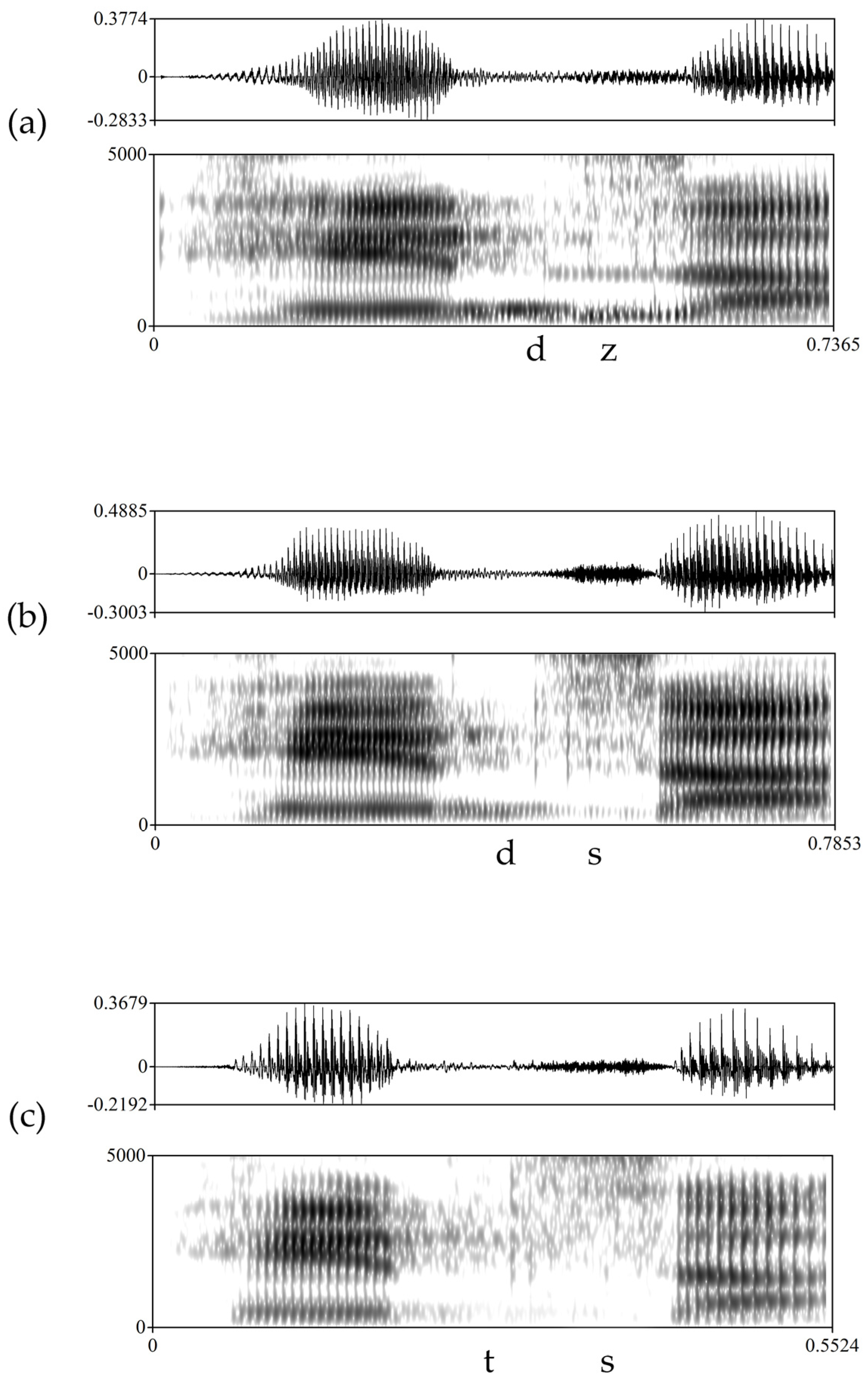 Languages 10 00048 g001