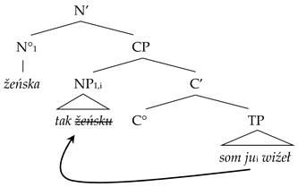 Languages 10 00125 i005