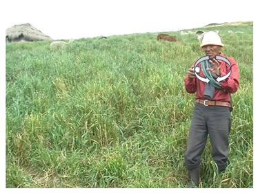 Languages 10 00138 i001