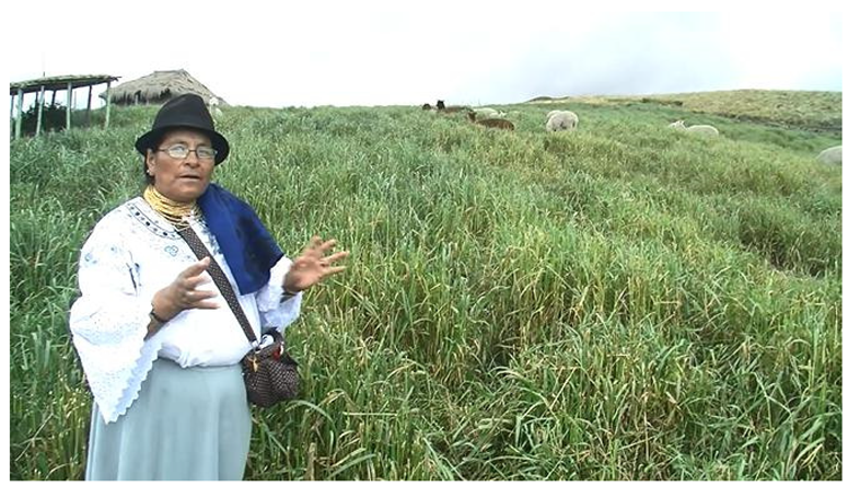 Languages 10 00138 i002