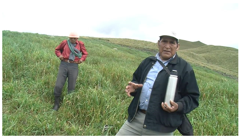 Languages 10 00138 i007