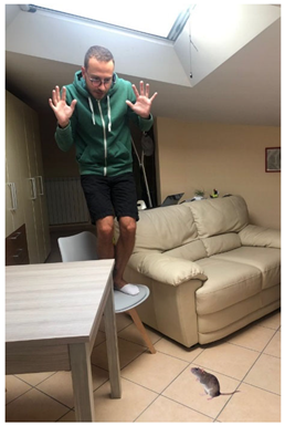 Languages 10 00157 i022