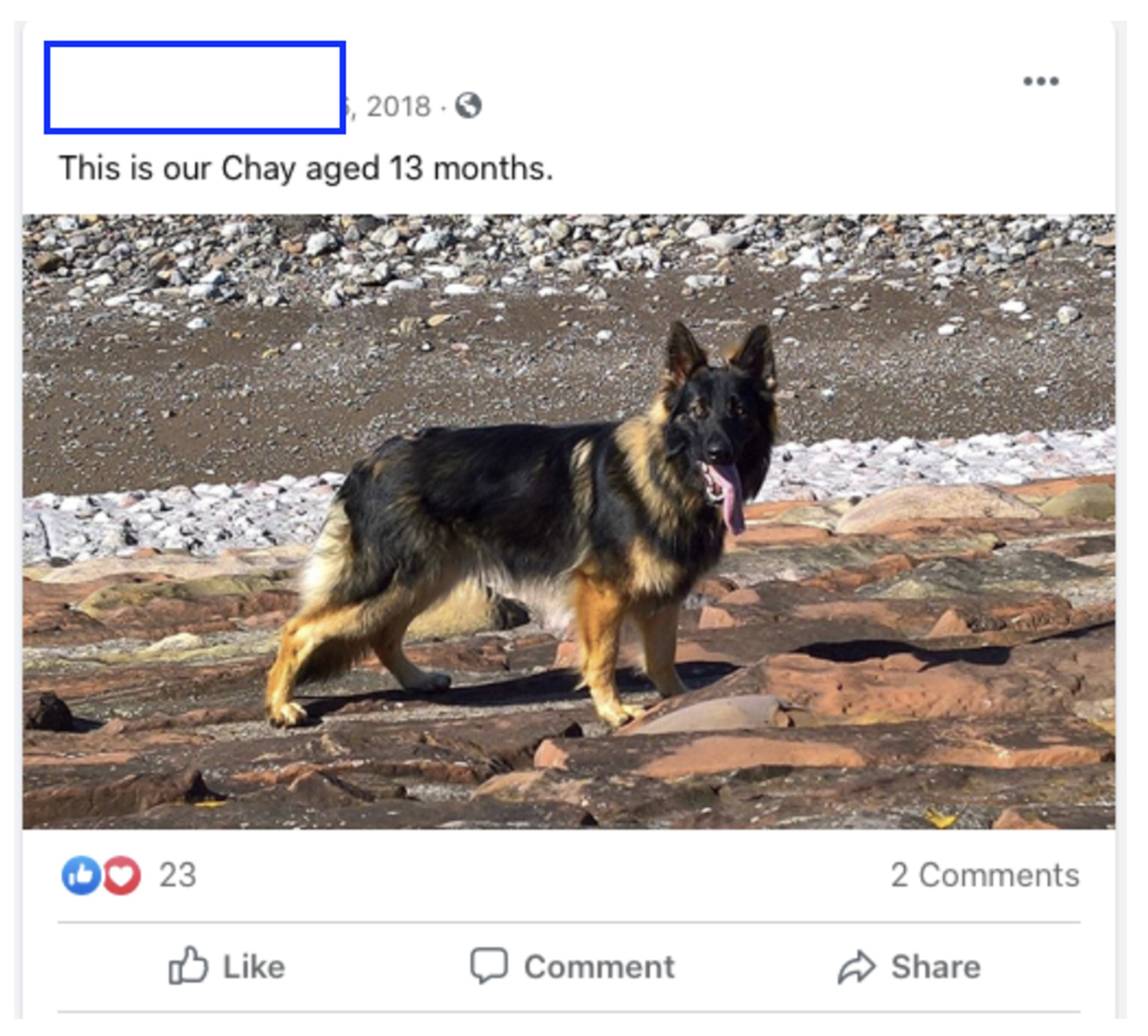 Languages 10 00182 g006