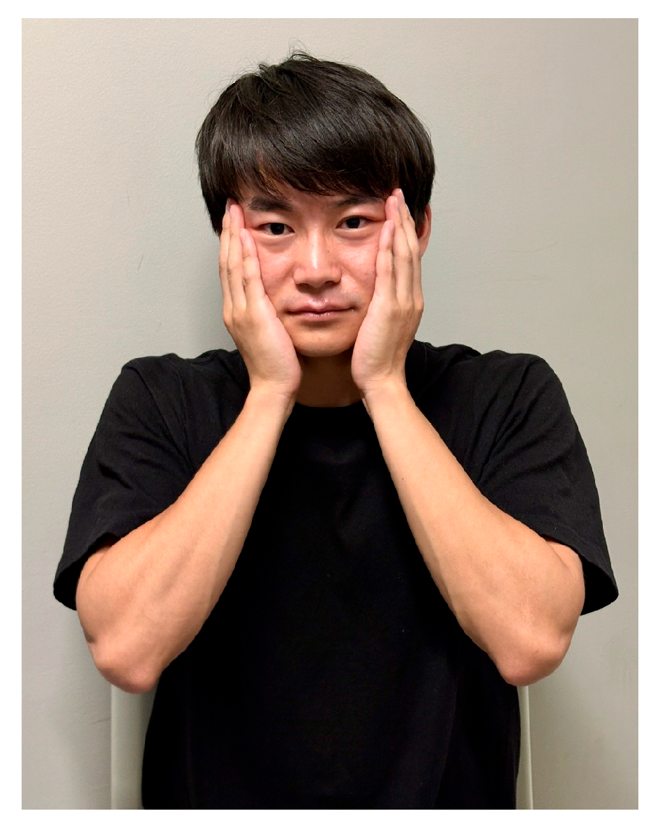 Languages 10 00209 g002