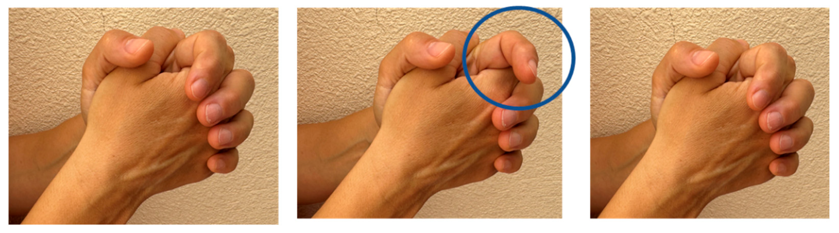 Languages 10 00231 g003 Languages 10 00231 g003