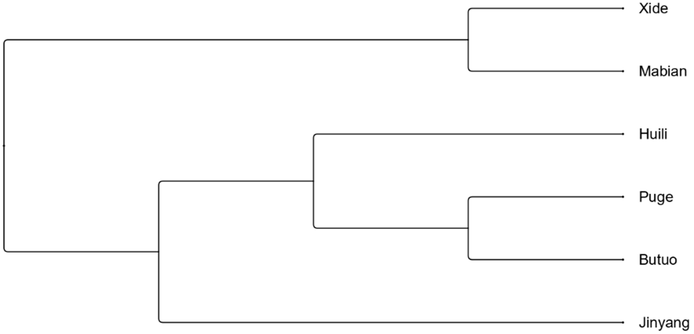 Languages 11 00129 g002