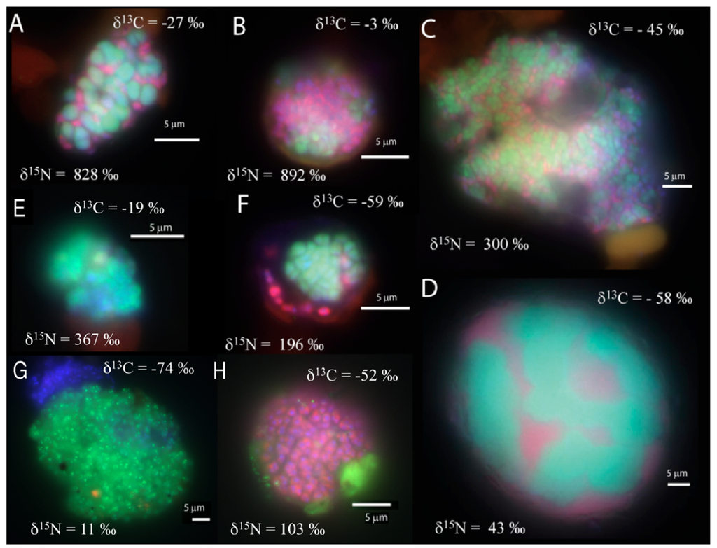 Life Special Issue Origin Of Life Feature Papers Life Special Issue Origin Of Life Feature Papers