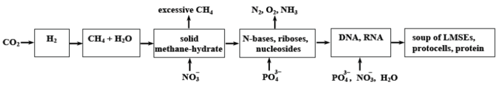 Life 02 00135 g003 1024