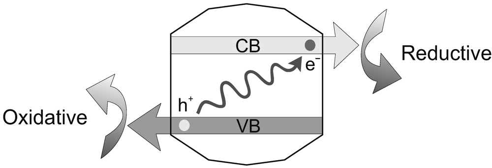 Life 02 00170 g003 1024