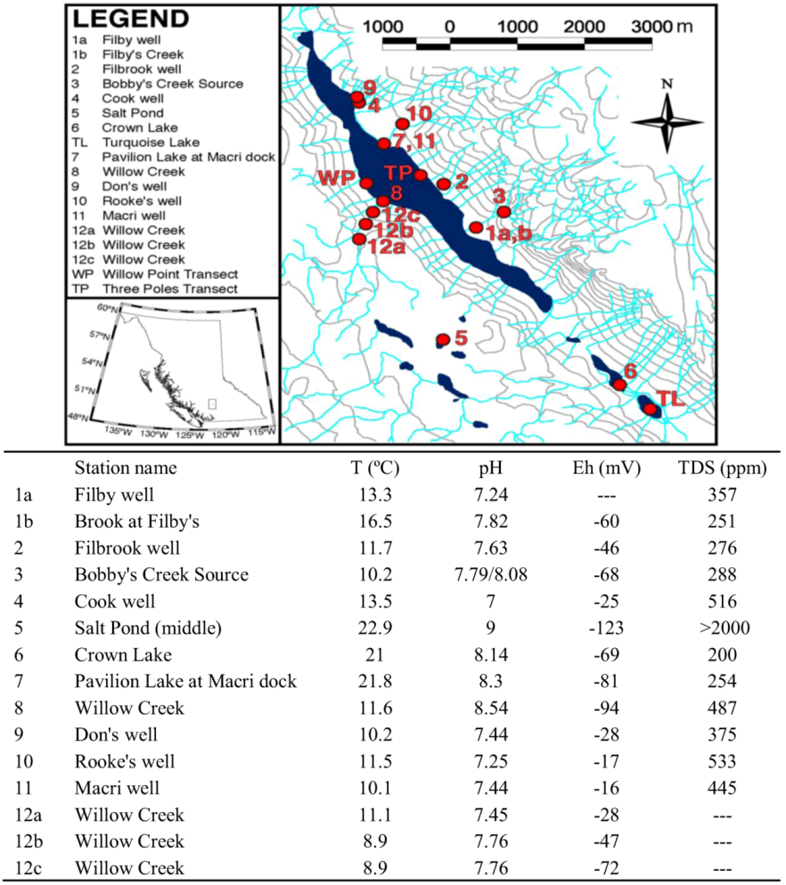 Life 03 00021 g004 1024