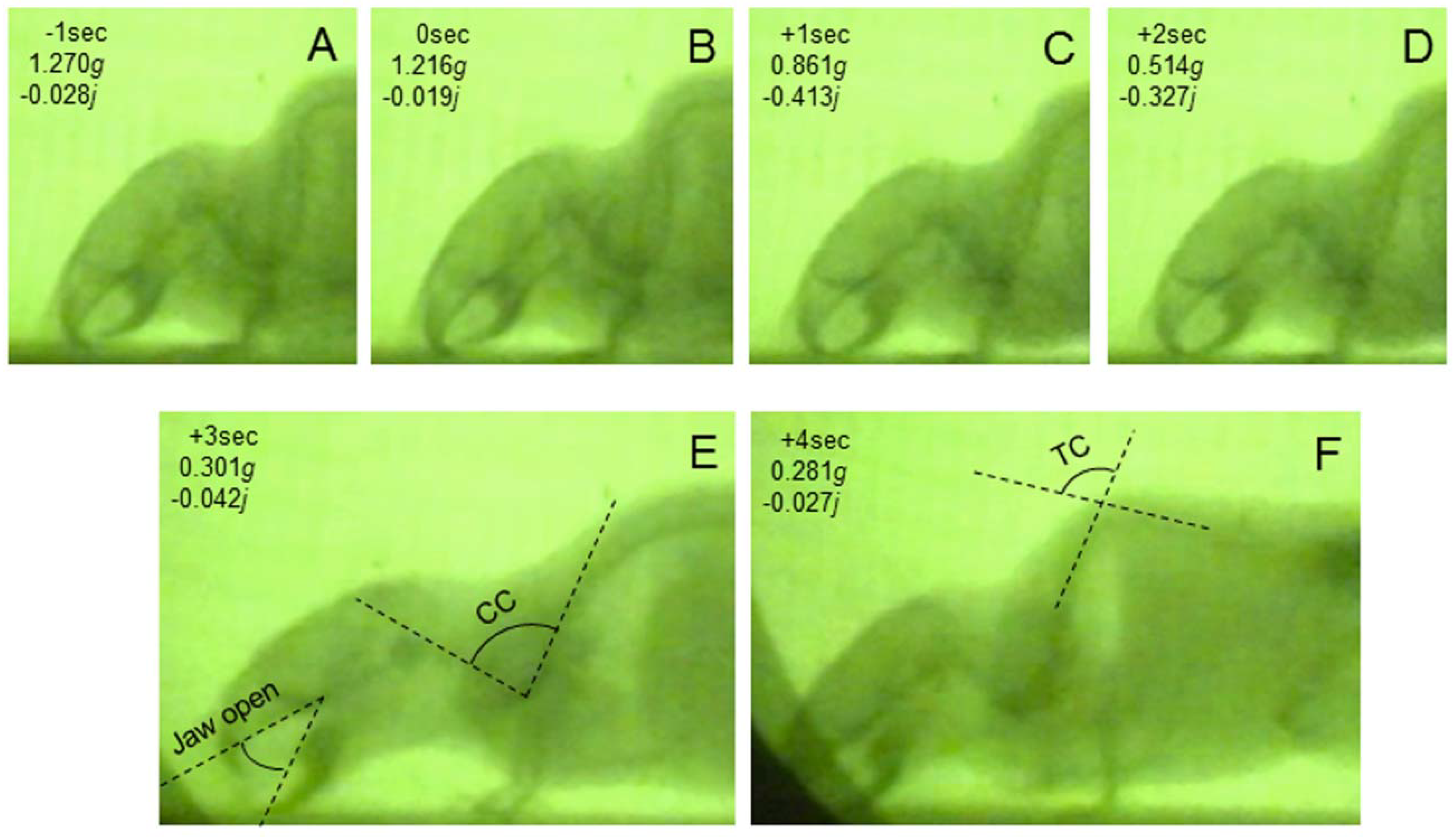 Life 04 00174 g004 1024