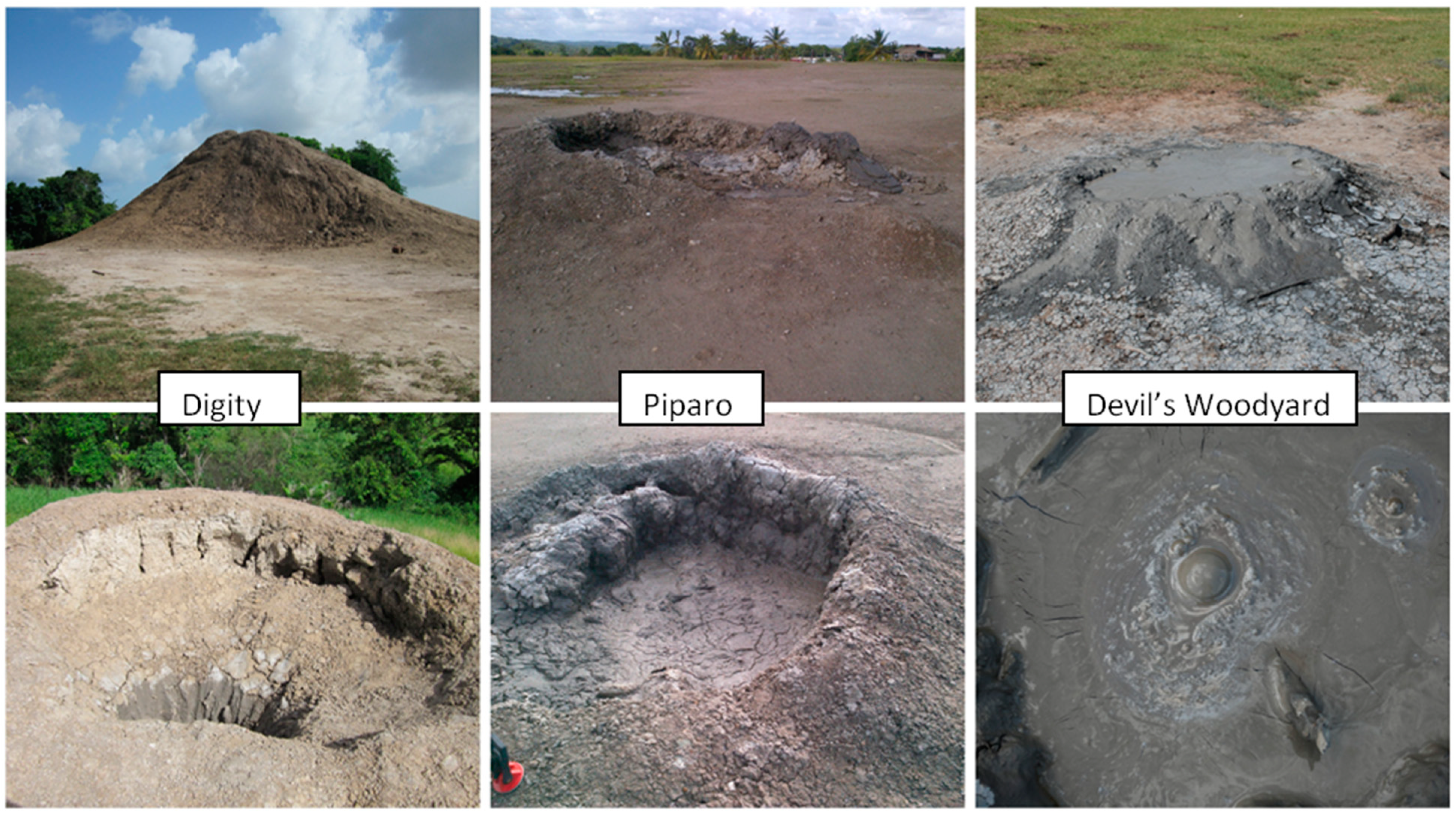 Life 04 00566 g002 1024