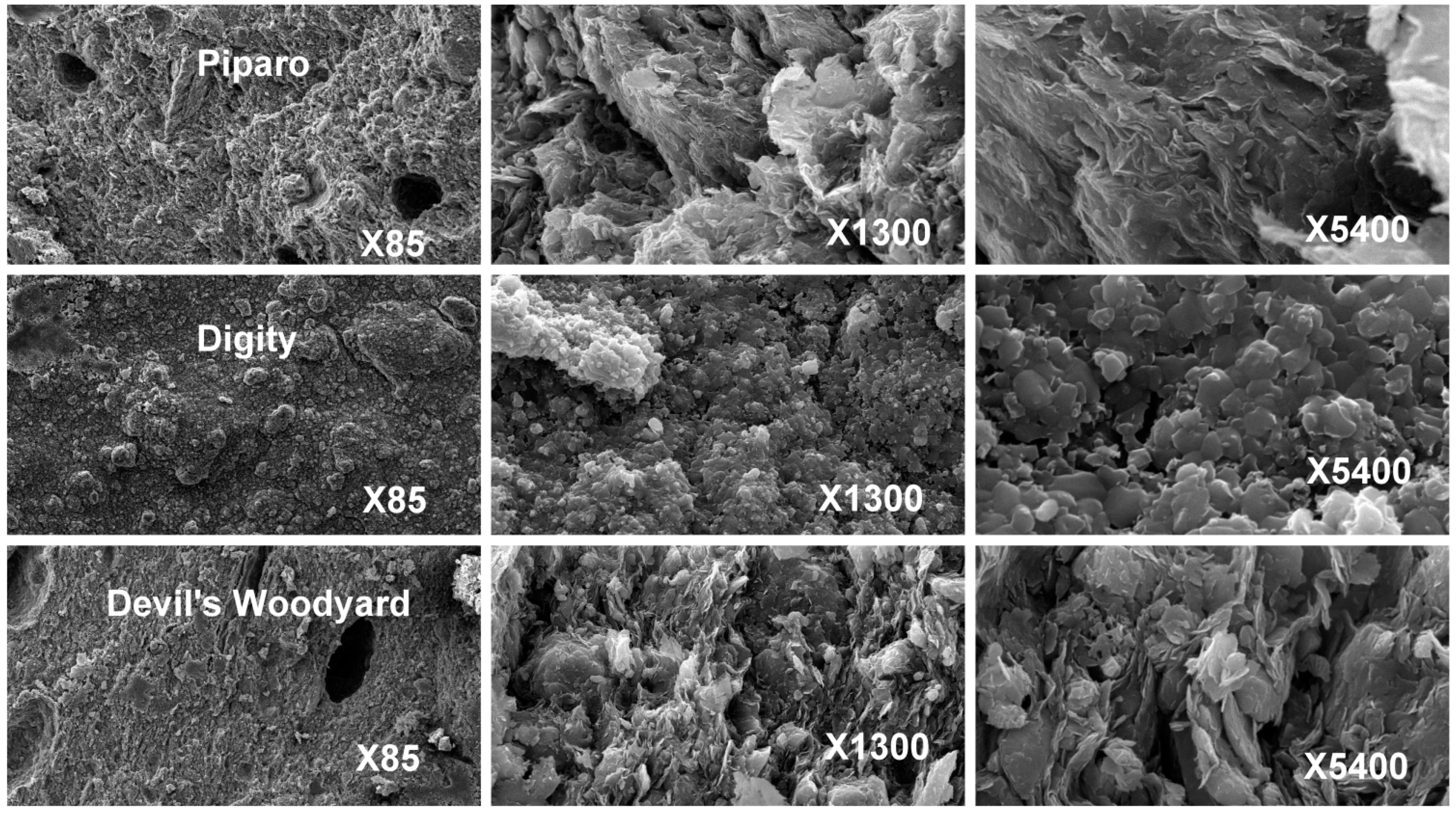 Life 04 00566 g003 1024