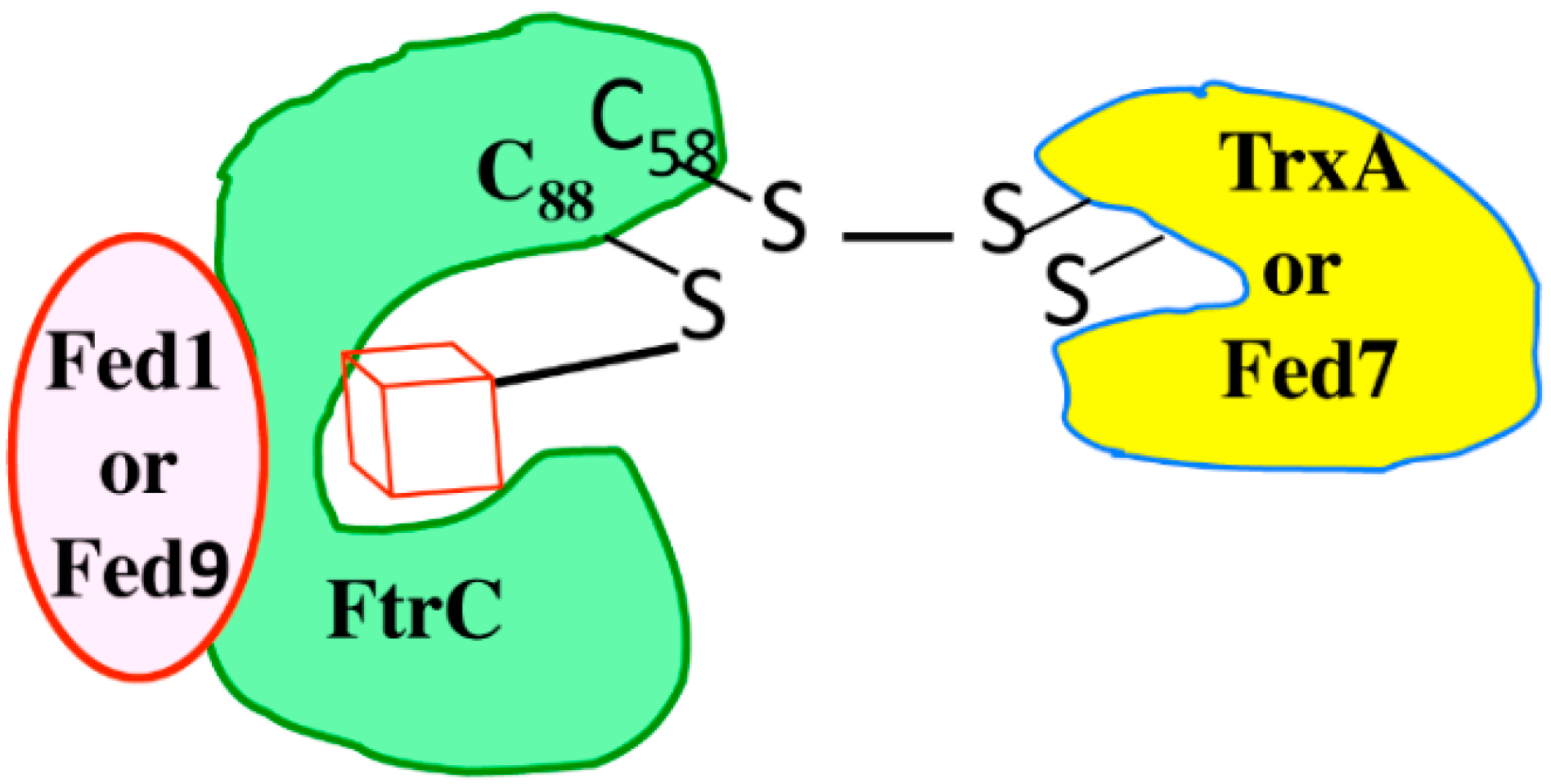 Life 04 00666 g005 1024