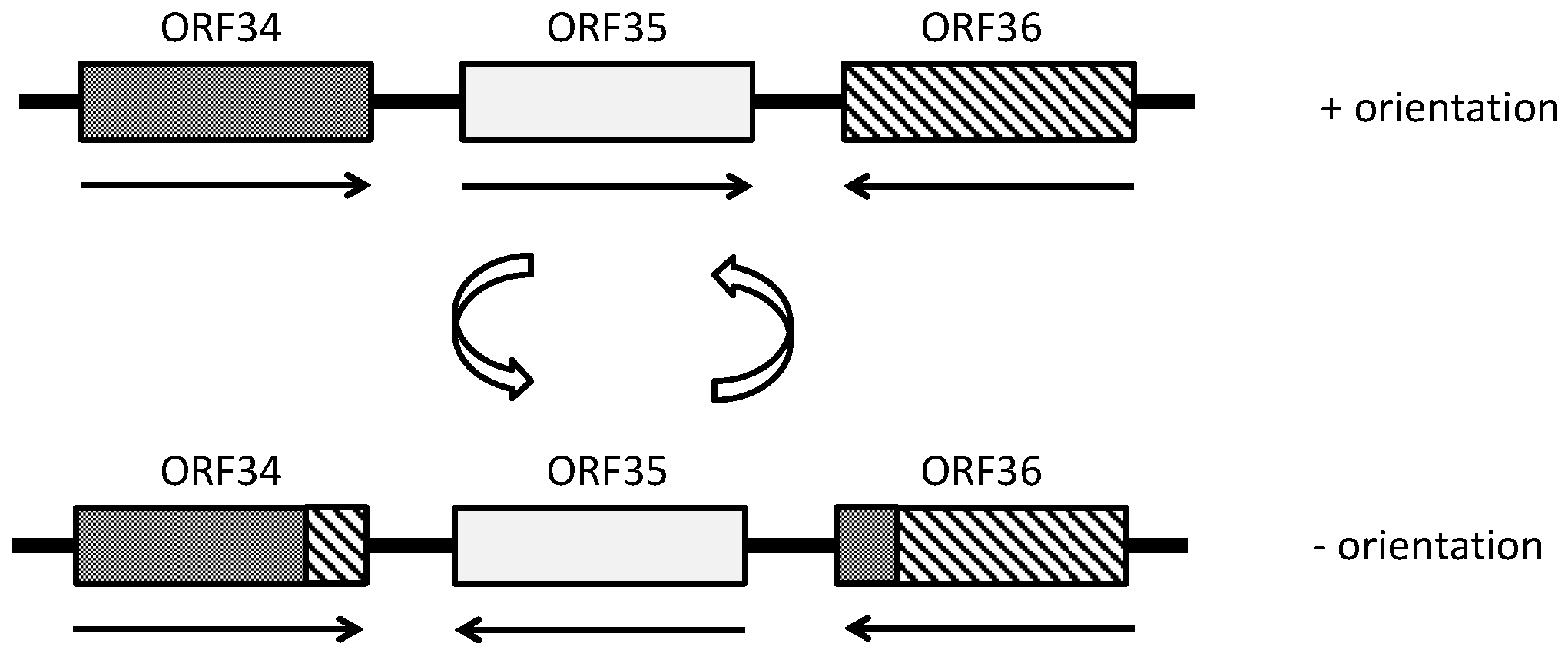 Life 04 00681 g002