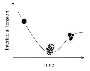 Life Free Full Text Droplets Unconventional Protocell Model With Life Like Dynamics And Room To Grow Html