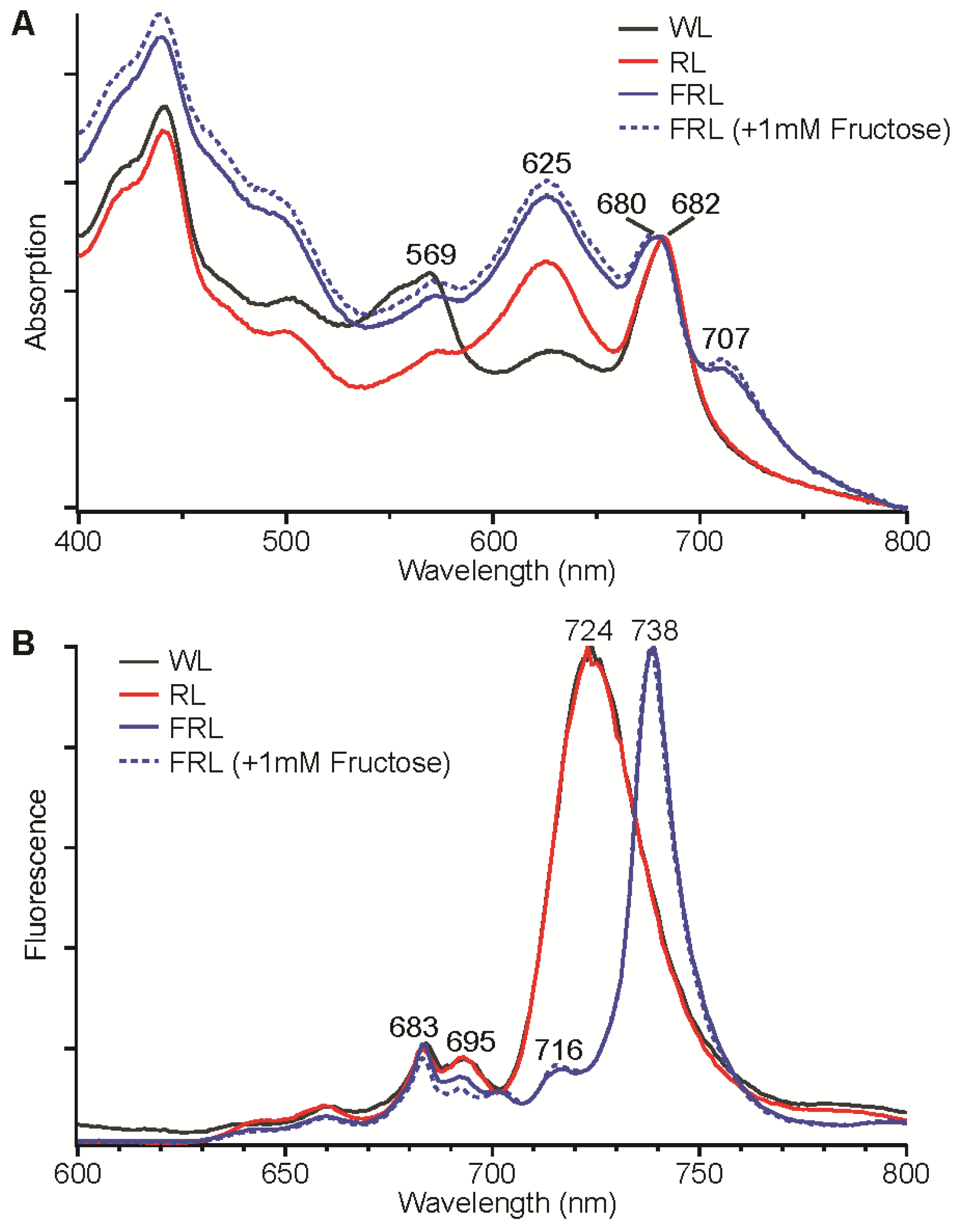 Life 05 00004 g002 1024