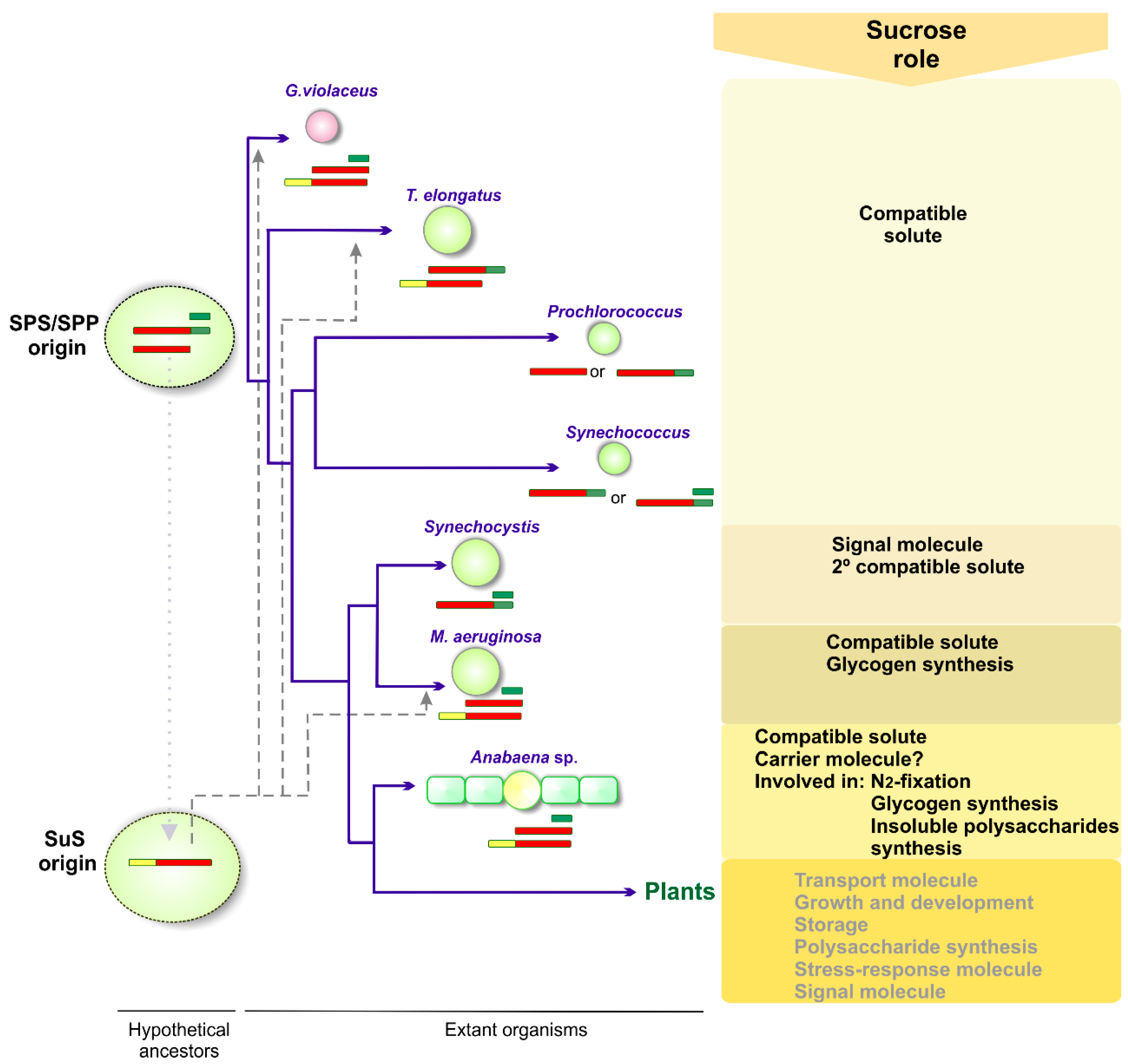 Life 05 00102 g004 1024