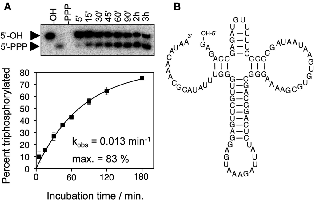 Life | Special Issue : The Origins and Early Evolution of RNA