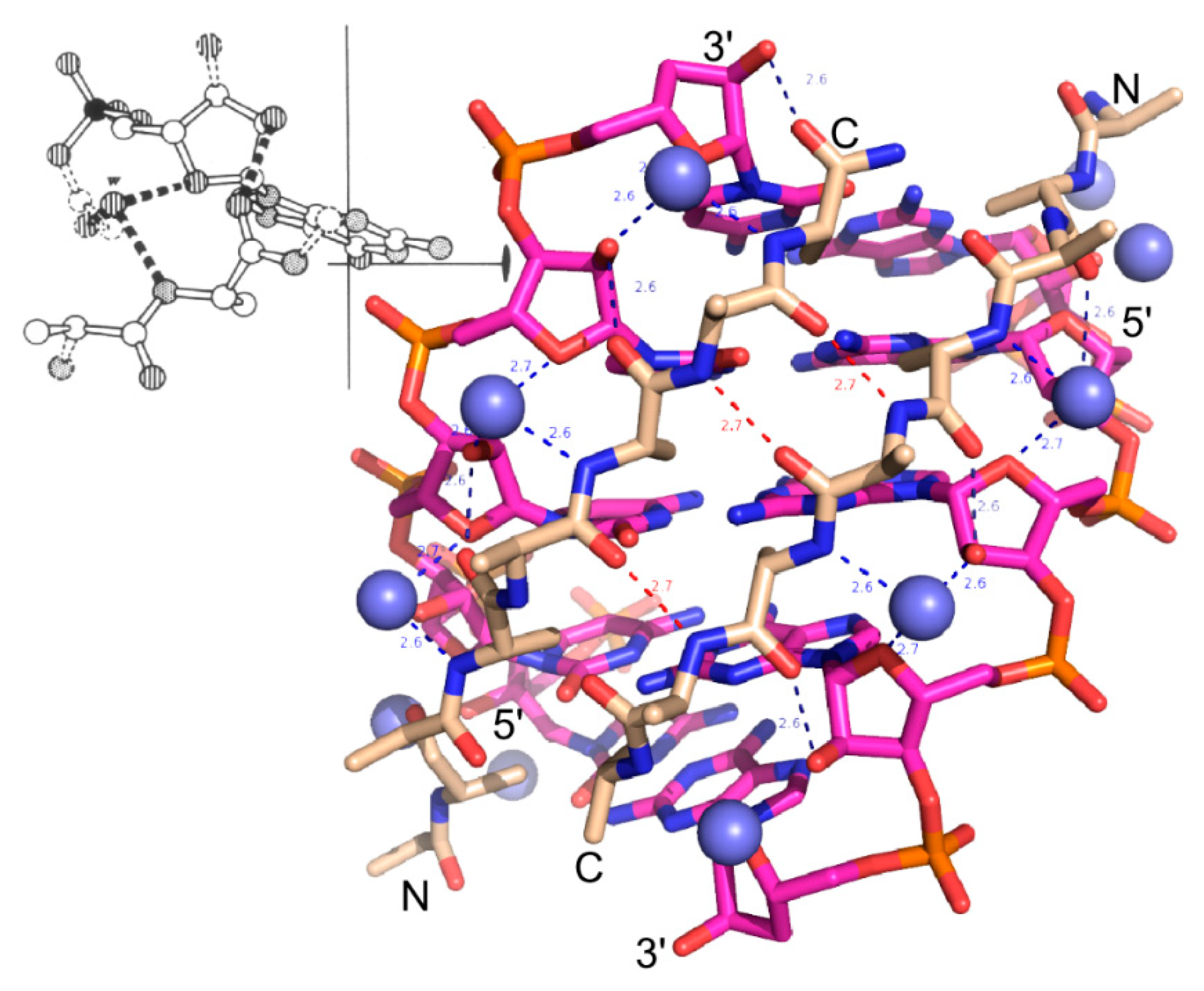 Life Free Full Text What Rna World Why A Peptide Rna Partnership Merits Renewed Experimental Attention Html