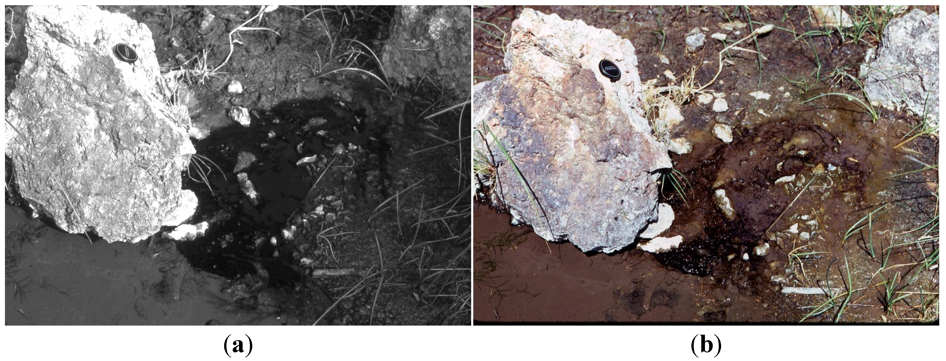 Life 05 00332 g007 1024