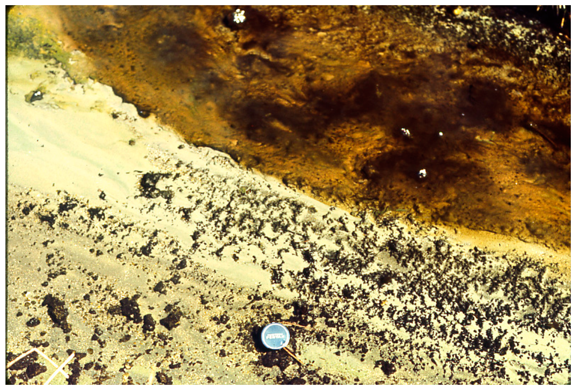 Life 05 00332 g010 1024