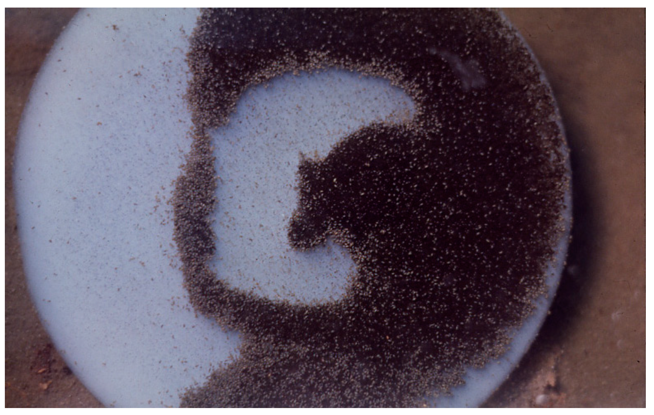 Life 05 00332 g014 1024