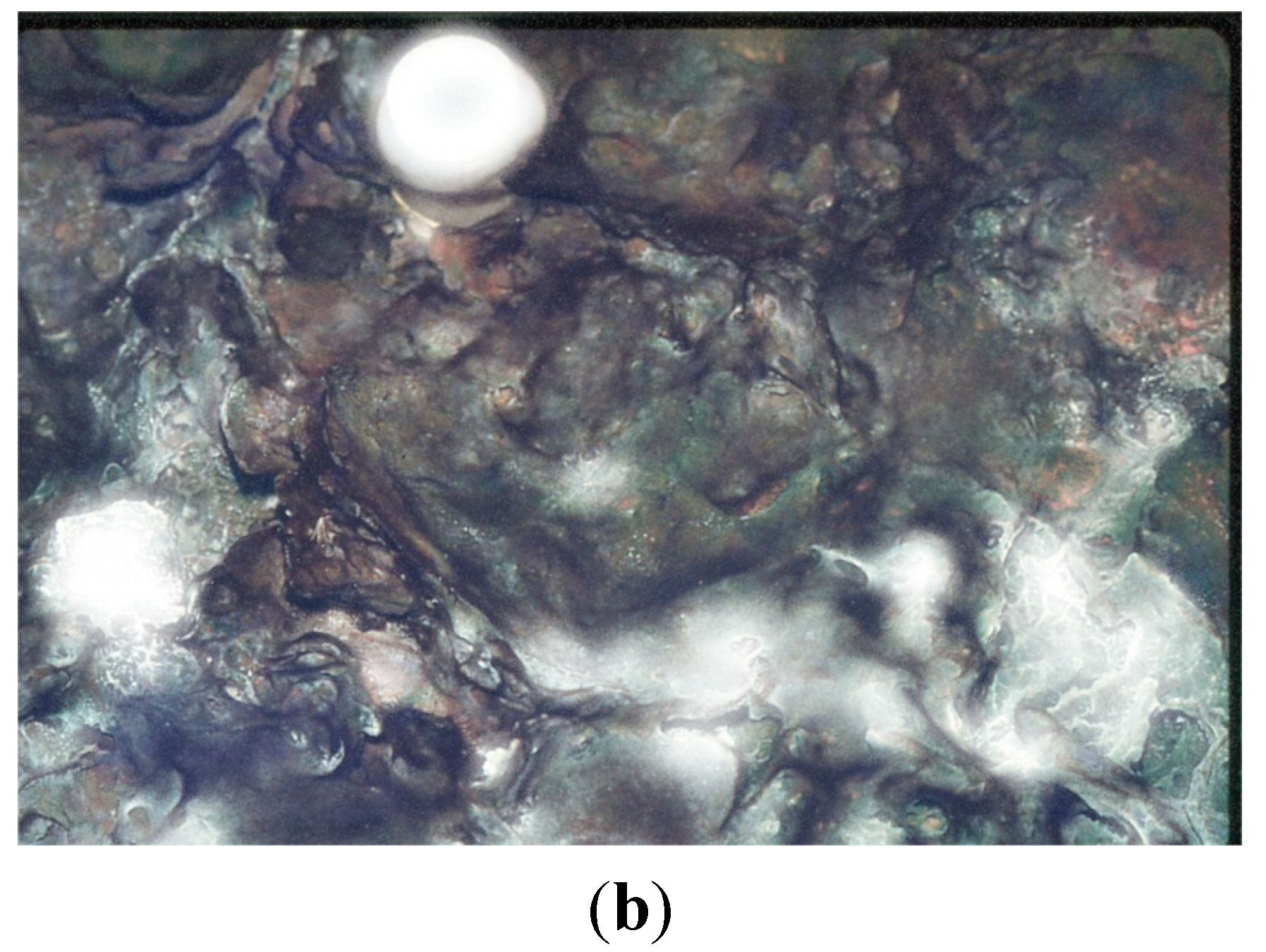 Life 05 00332 g017b 1024