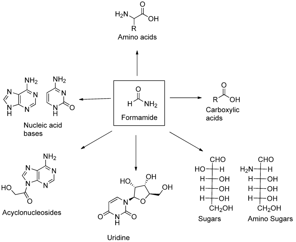 formamide path synthesis rna tenuous continuous figure mdpi g001
