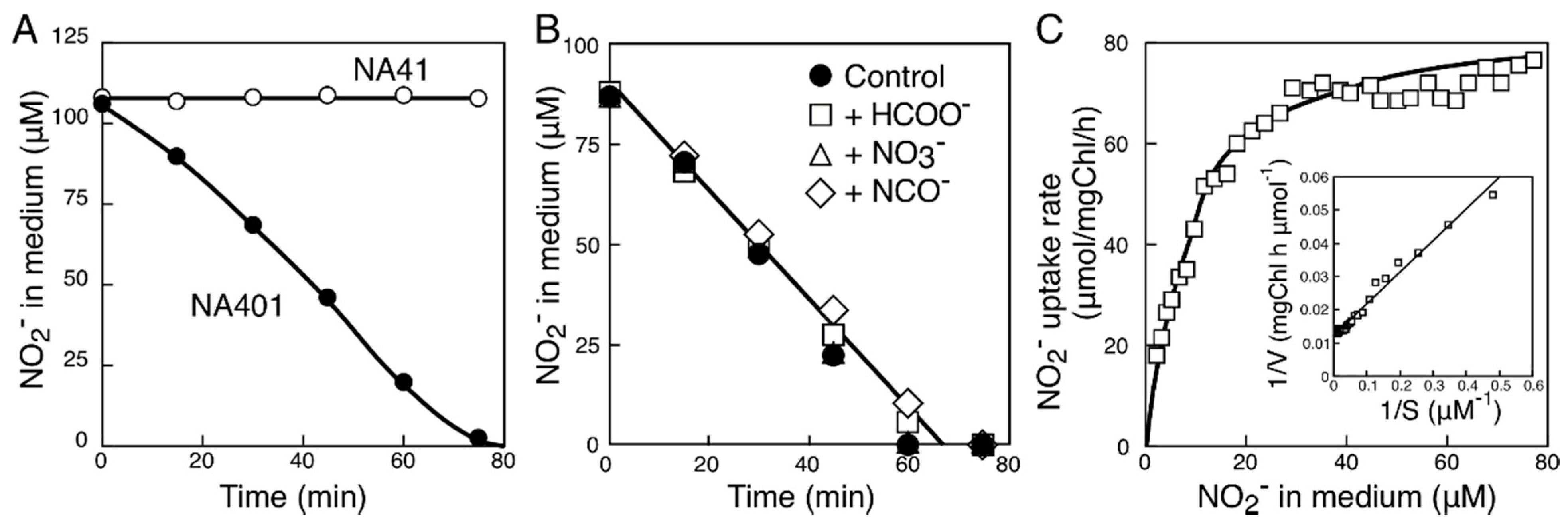 Life 05 00432 g003 1024