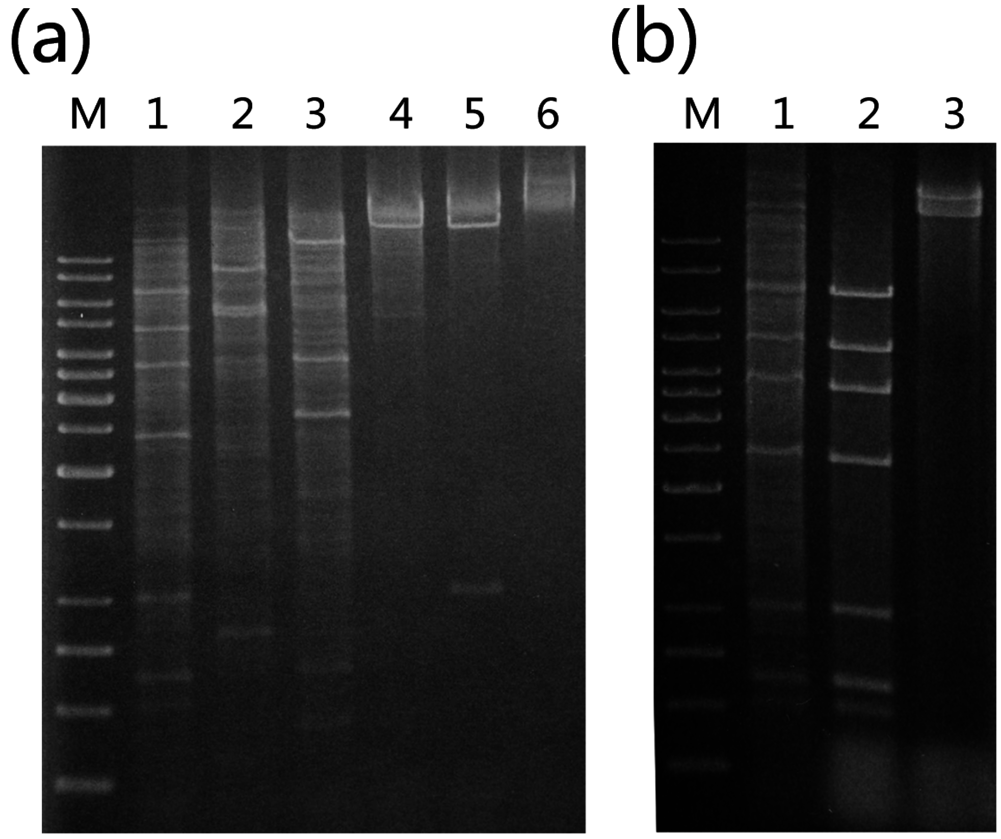 Life 05 00506 g001 1024