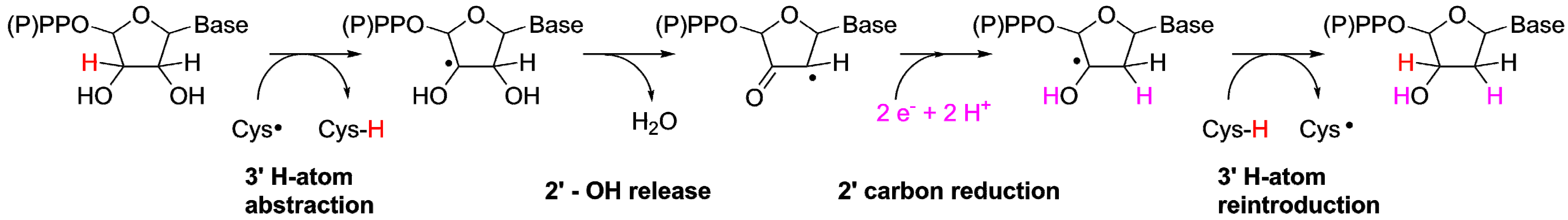 Life 05 00604 g001 1024
