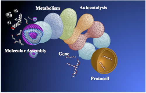 Life Free Full Text From Vesicles To Protocells The Roles Of Amphiphilic Molecules Html