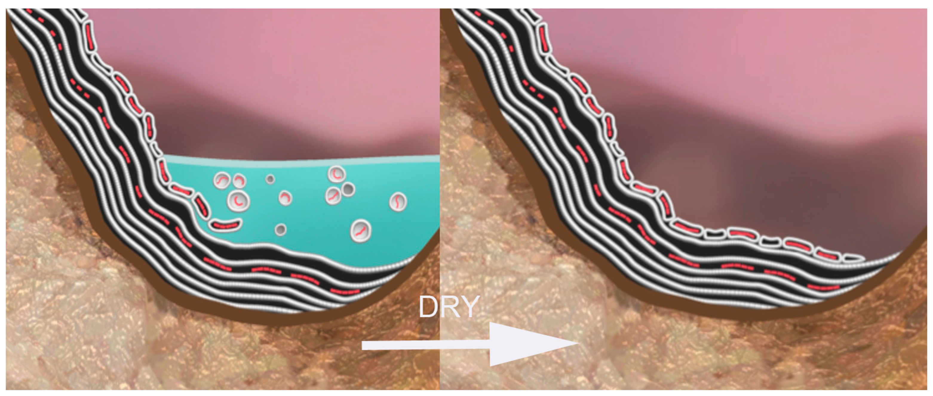 Life 05 00872 g007 1024