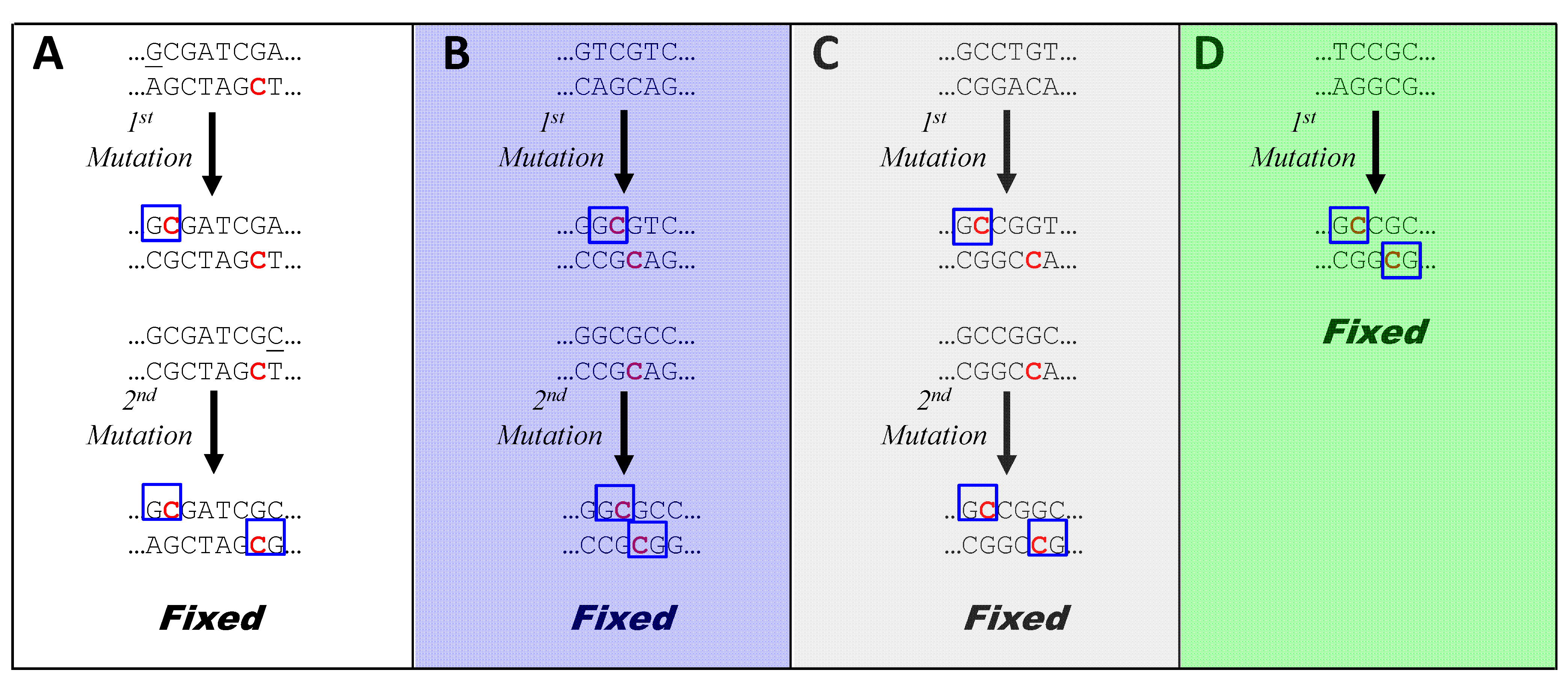 palindromic sequences palindromic sequences