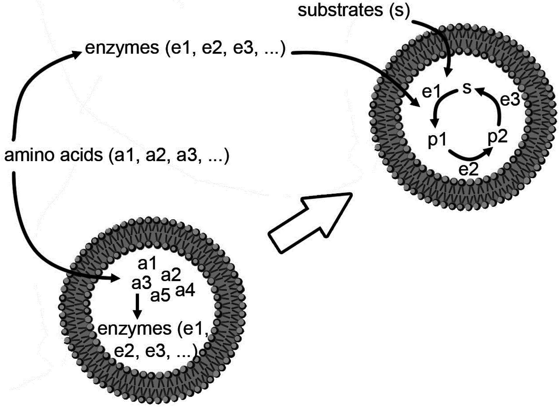 Life 05 00969 g002 1024