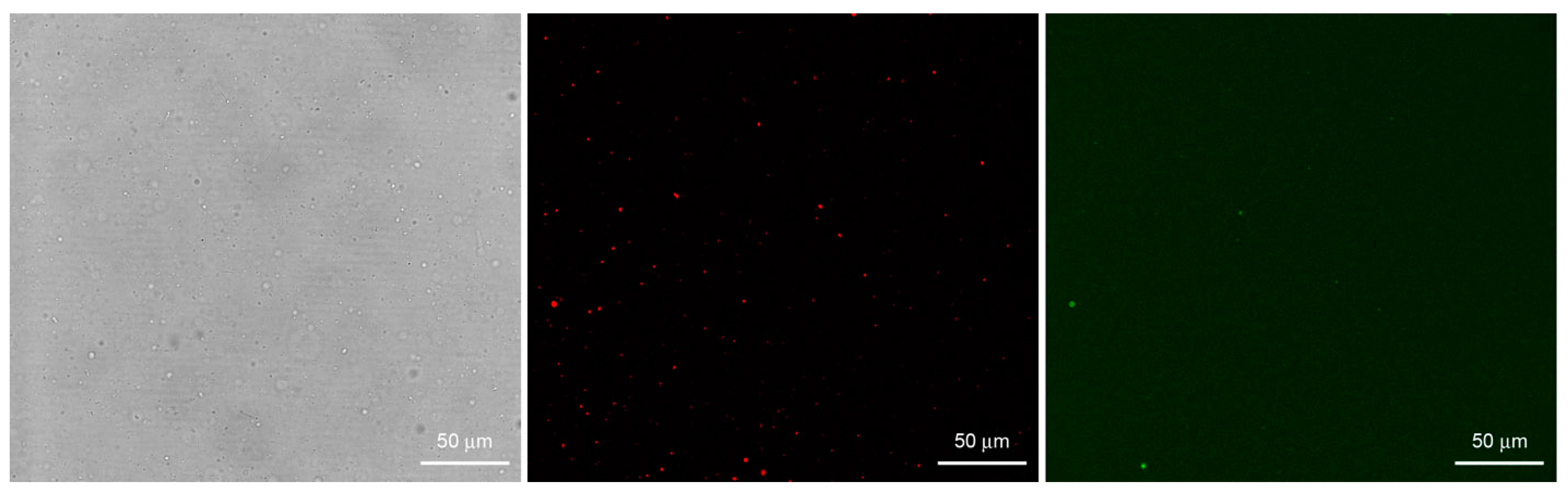 Life 05 00969 g007 1024