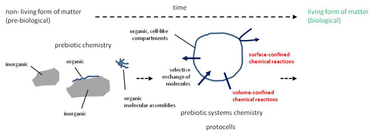 Life Free Full Text Current Ideas About Prebiological Compartmentalization Html