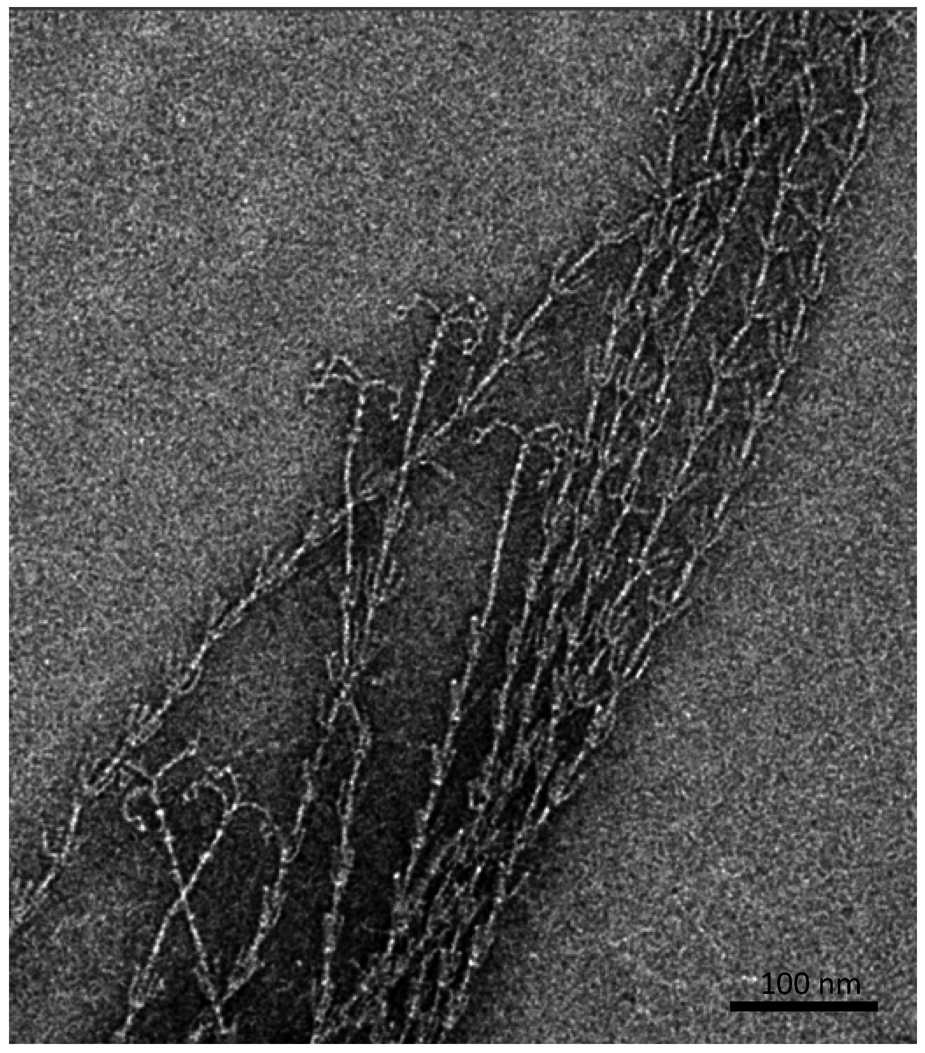 Life 05 01381 g002 1024