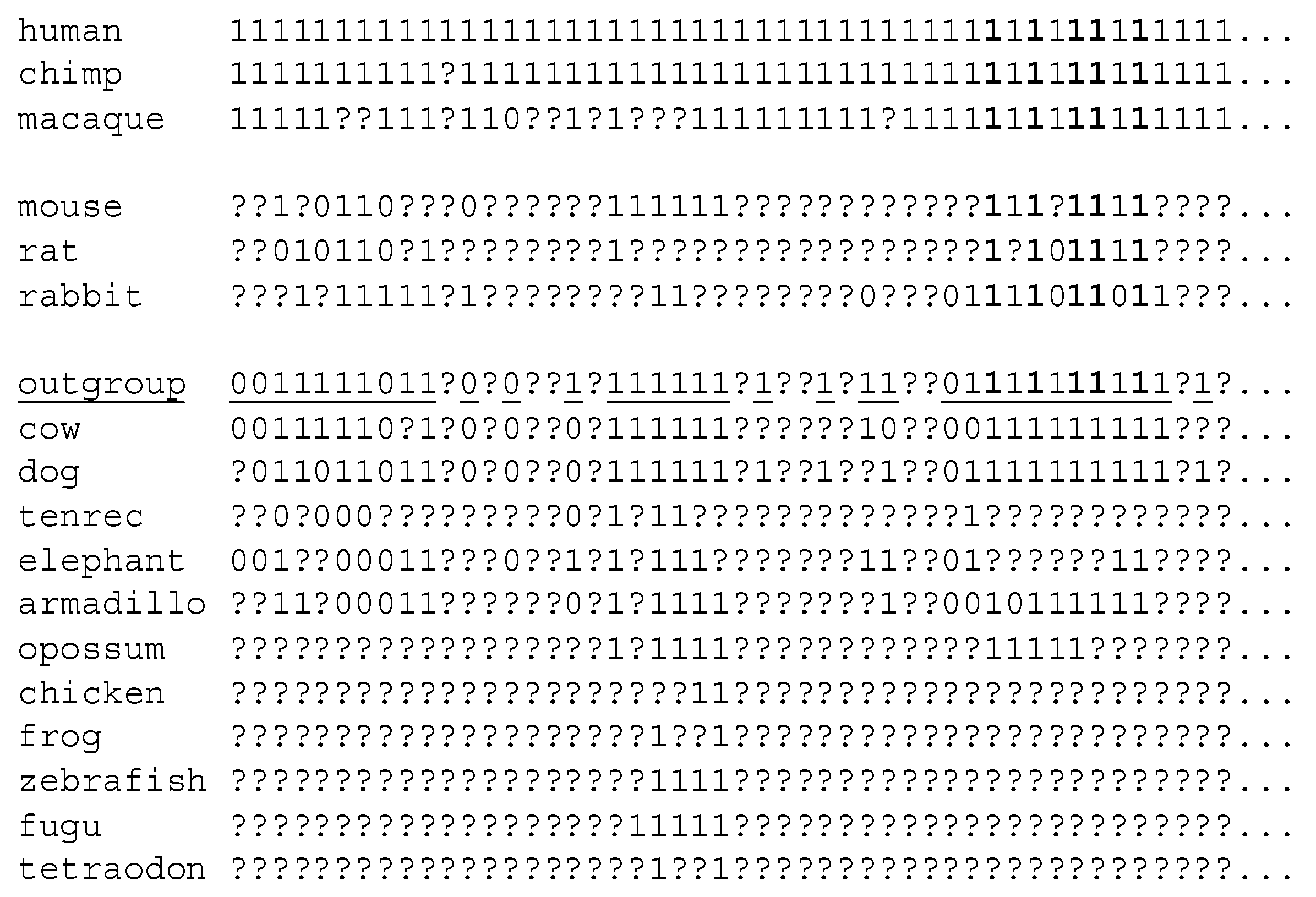 Life 06 00027 g001