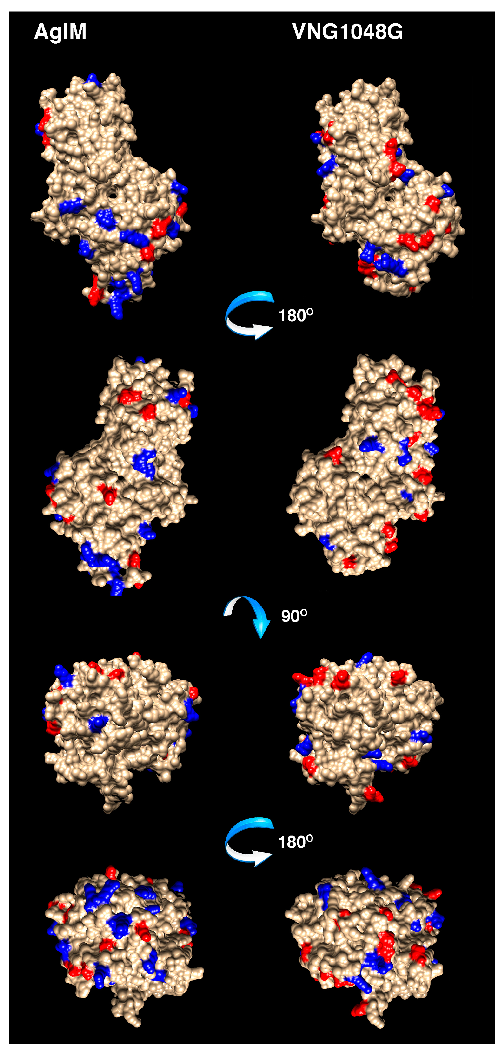 Life 06 00031 g004 1024