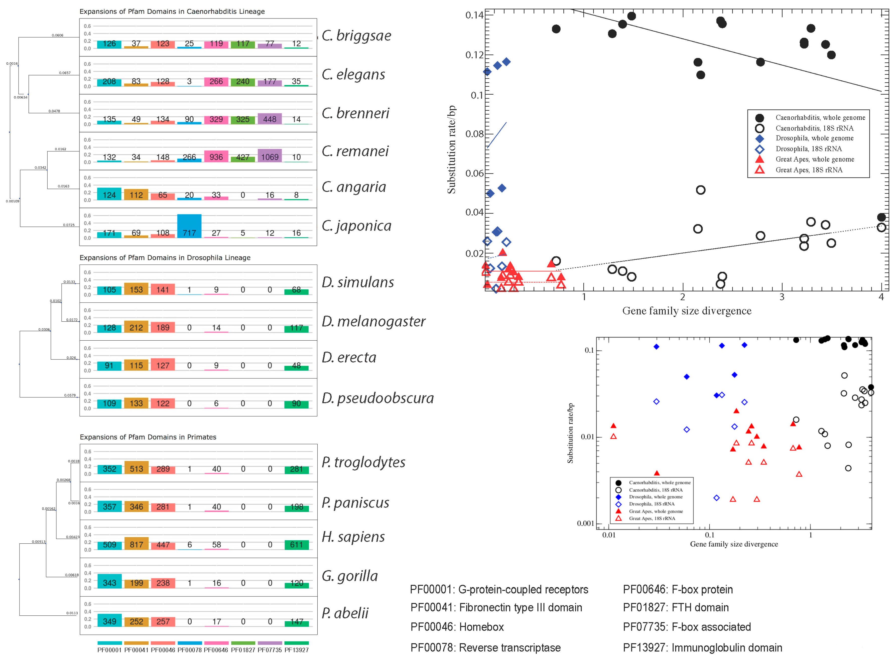 Life 06 00032 g001 1024
