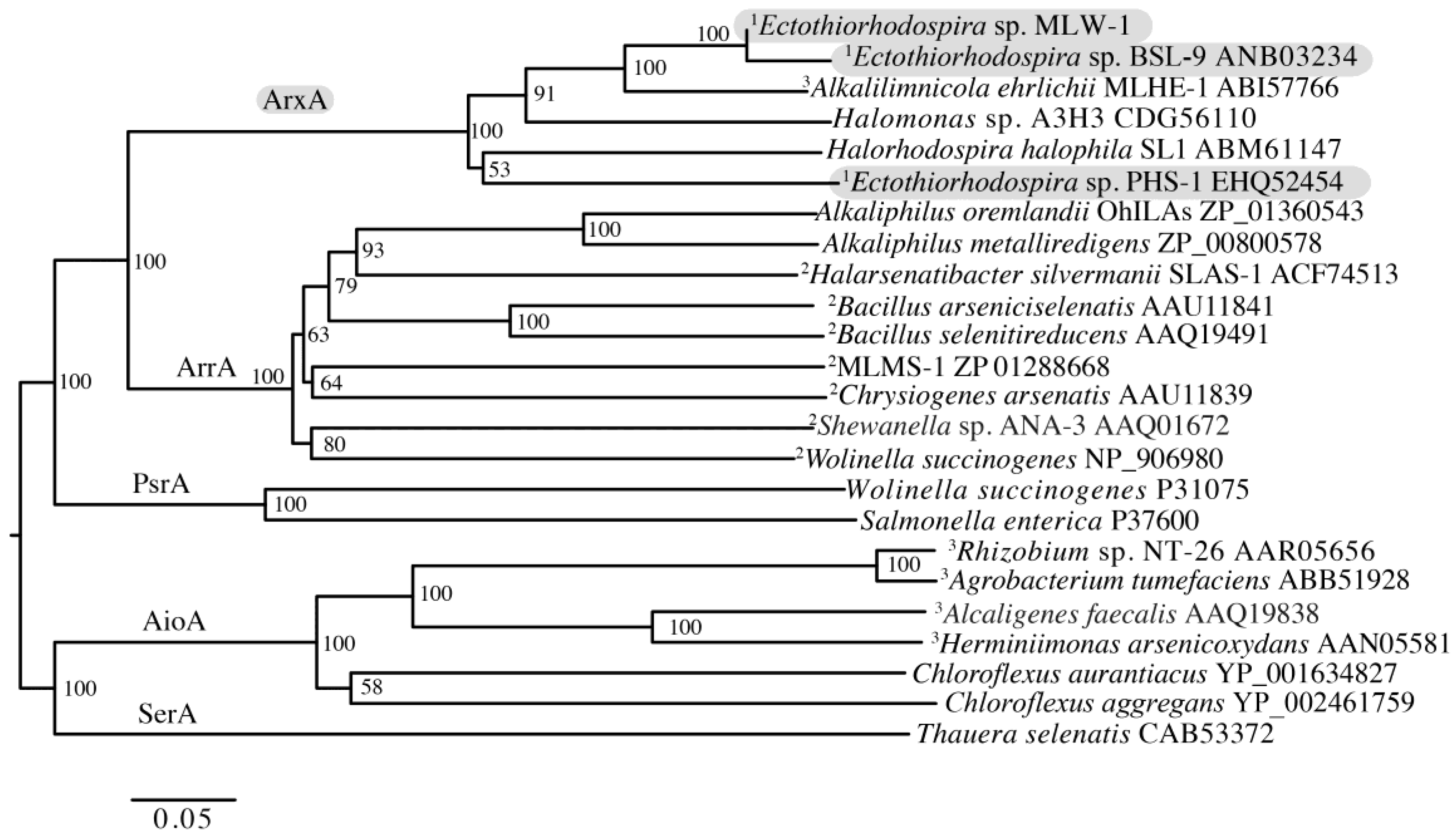 Life 07 00001 g007 550