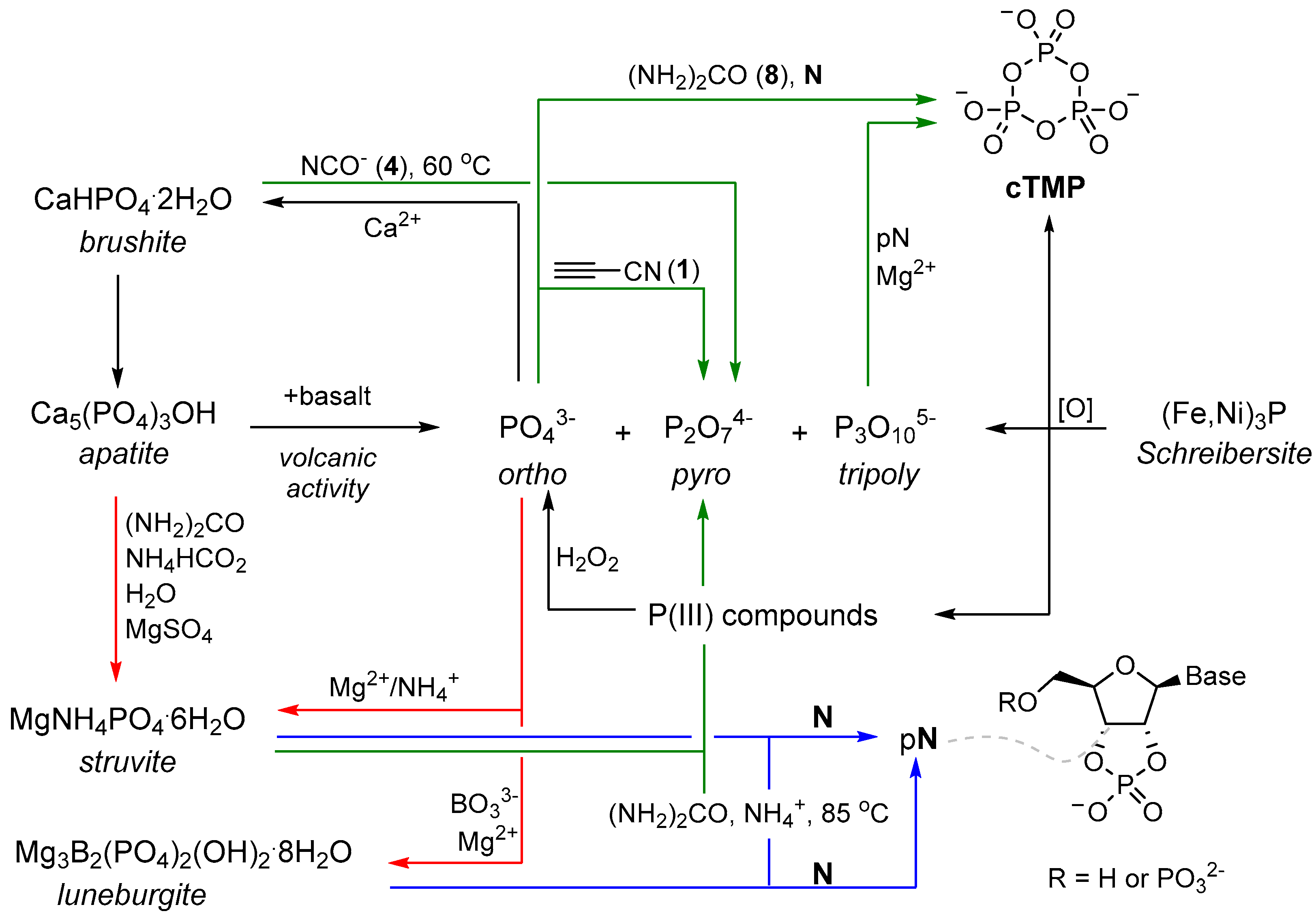 Life 07 00031 sch001 550