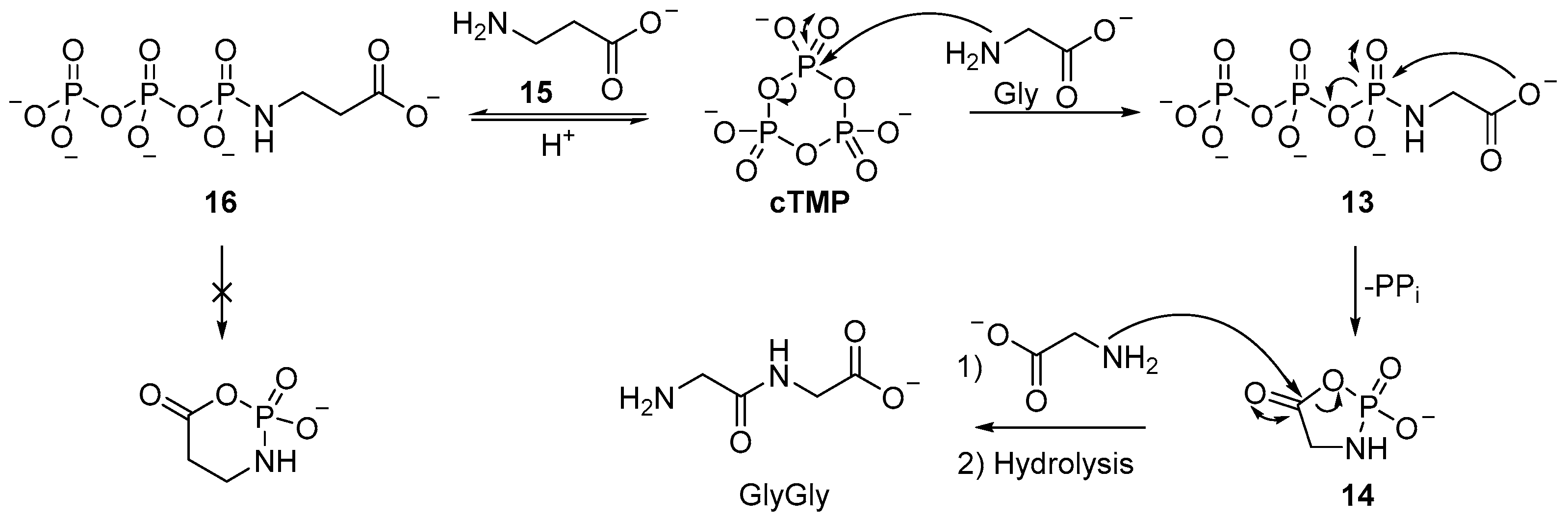 Life 07 00031 sch005 550