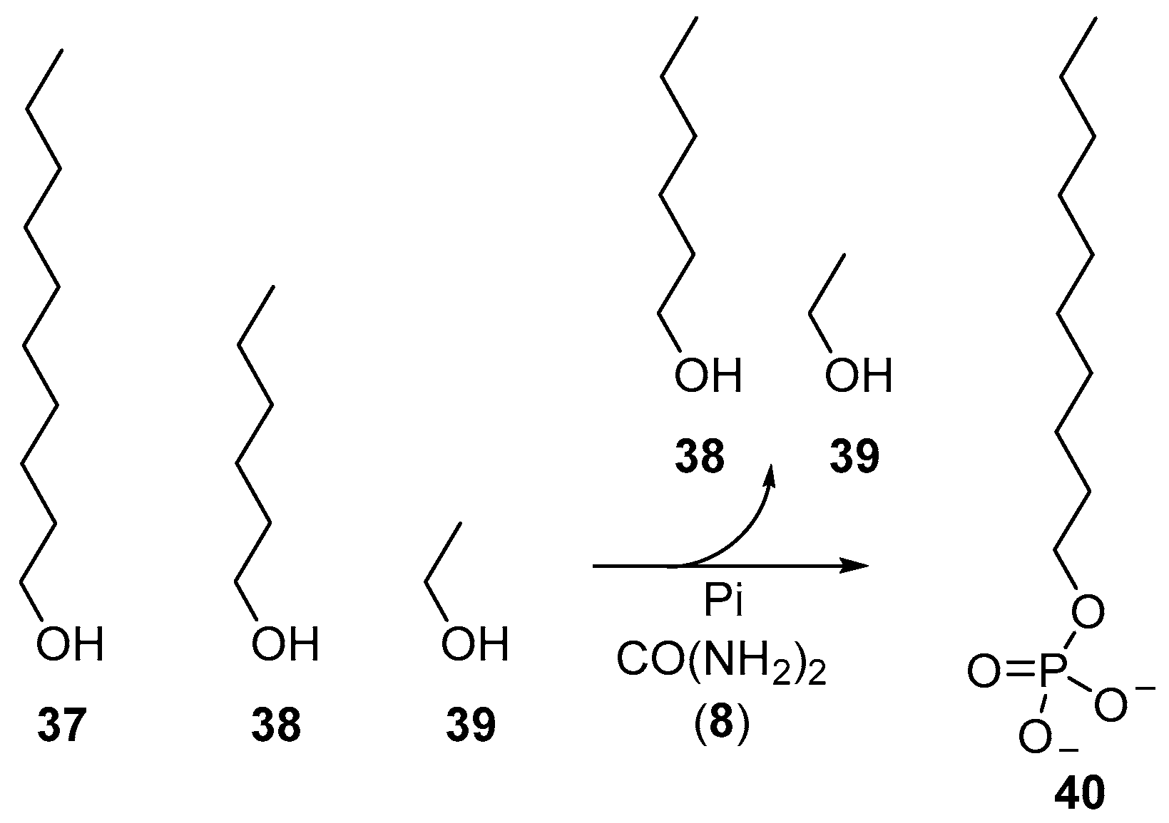 Life 07 00031 sch013 550