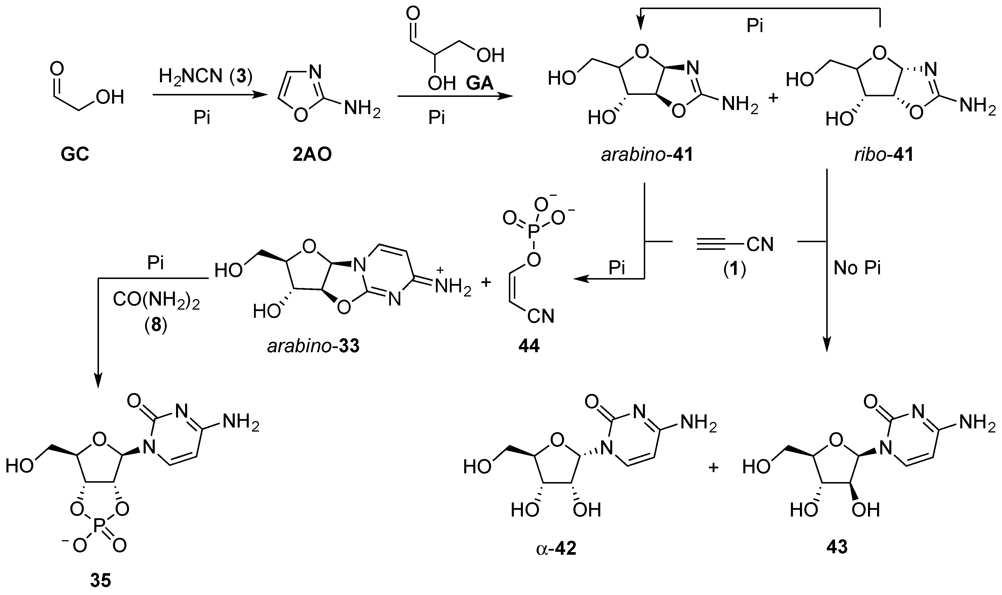 Life 07 00031 sch014 550
