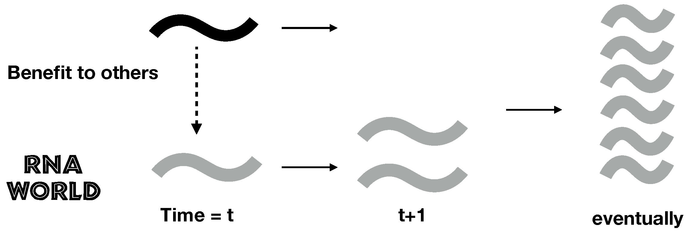 Life 07 00053 g001